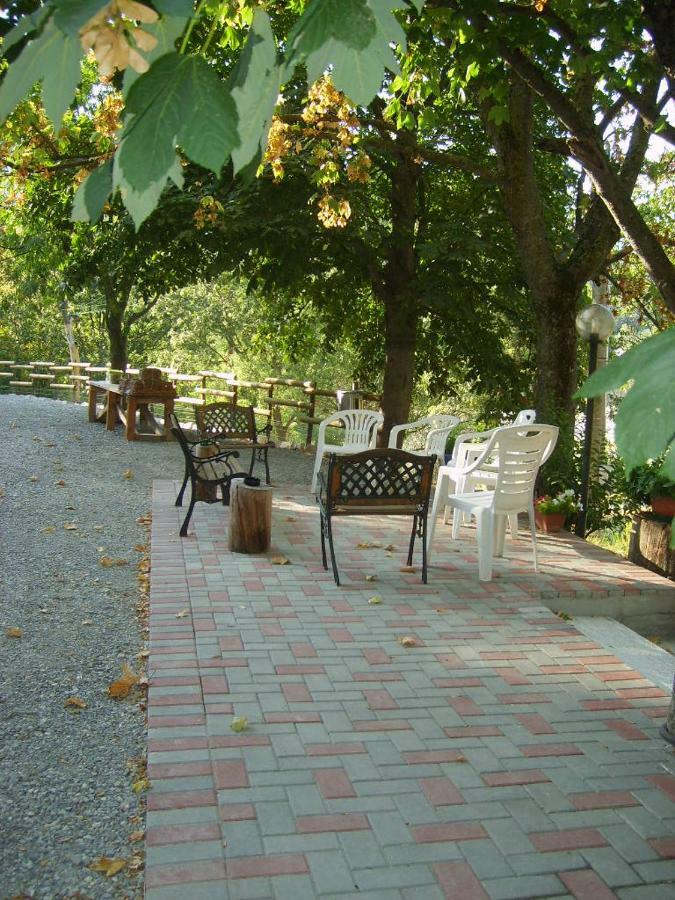 B&B Il Boschetto Calestano Bagian luar foto