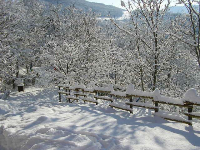 B&B Il Boschetto Calestano Bagian luar foto